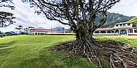 Micro Panorama Thumbnail for Social Sharing Sites